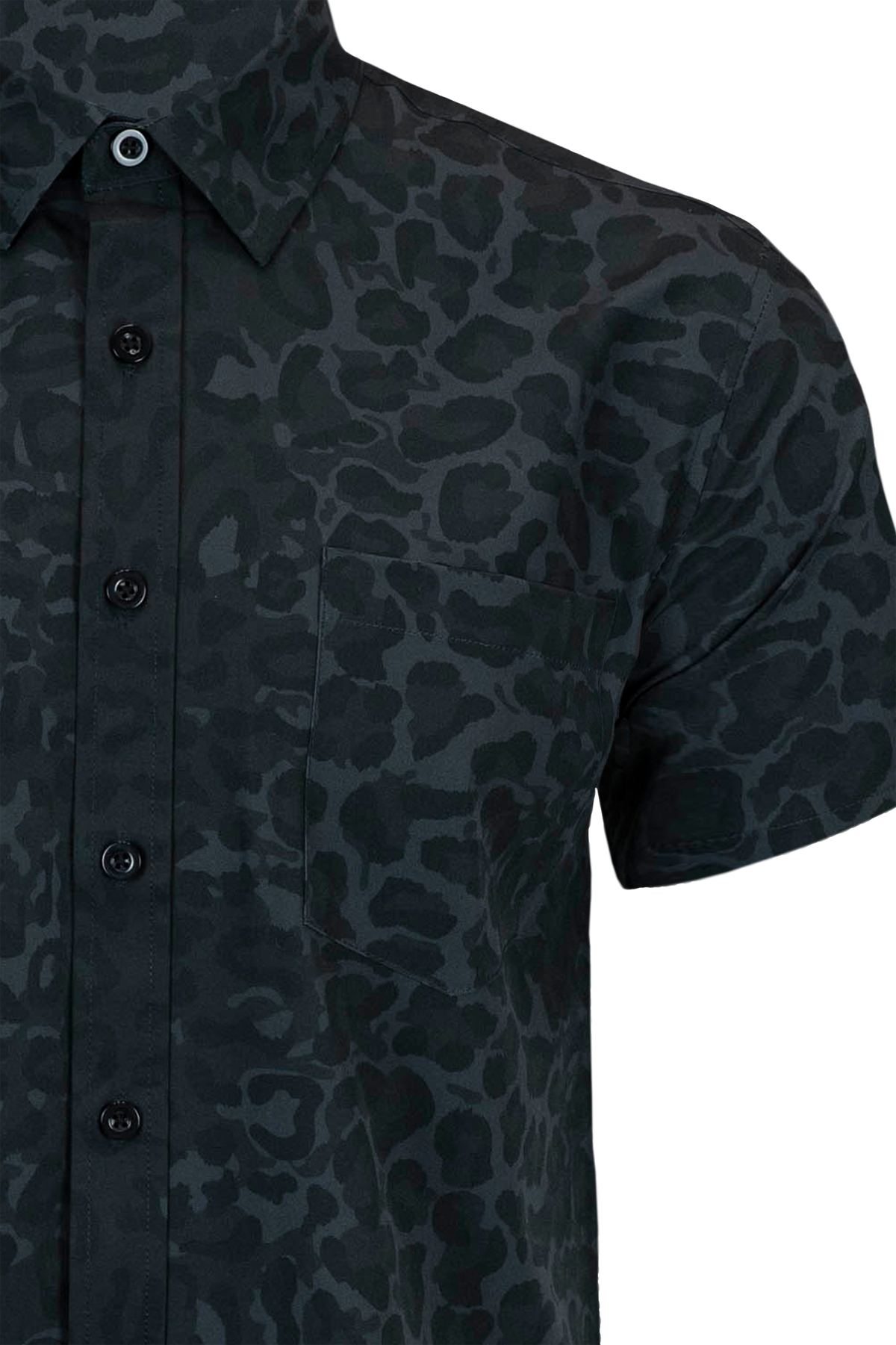 DPM Panther Button Down